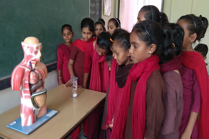 Jawahar Navodaya Vidyalaya-Science Lab