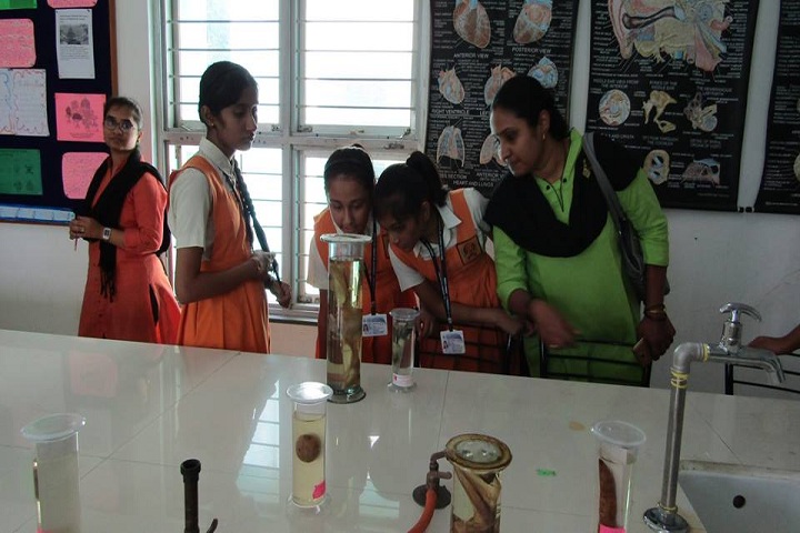 Jay International School-Biology Lab