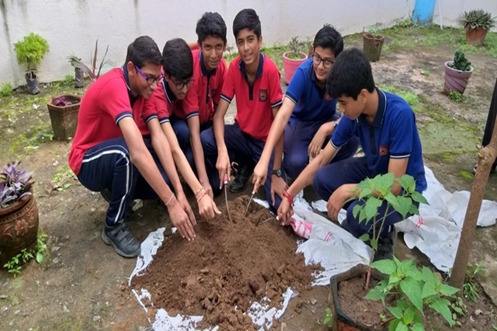 Kendriya Vidyalaya-Tree Plantation