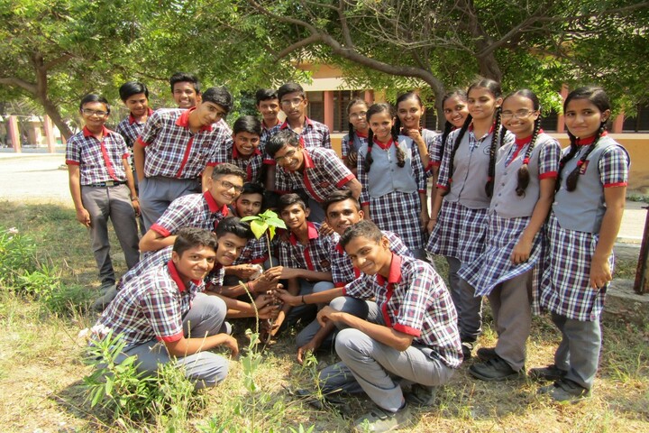 Kendriya Vidyalaya-Plantation Programme