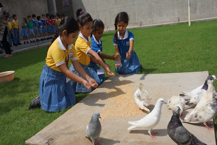 Lakshaya International School-Kids