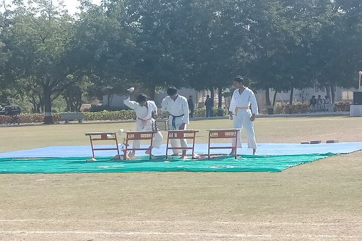 Nand Vidya Niketan-Karate