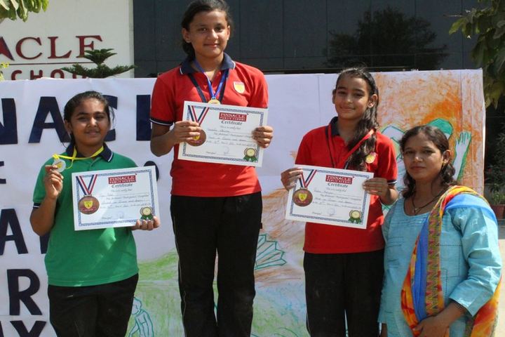 Pinnacle Public School-Sports day