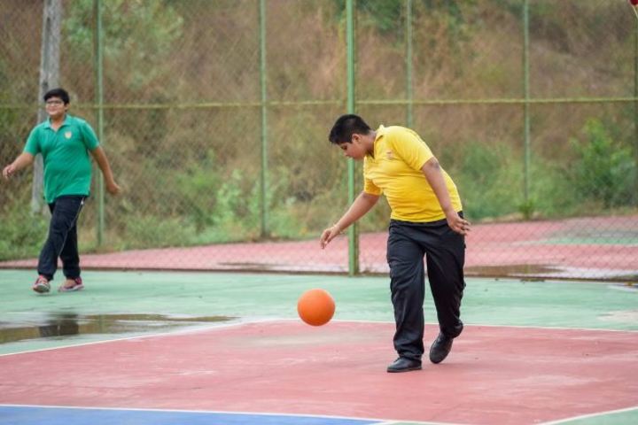 Pinnacle Public School-Sports