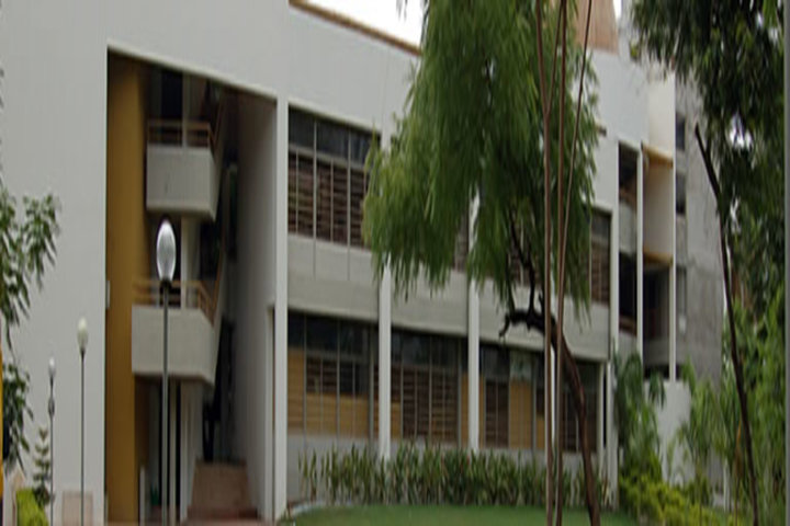 Savvy International School-Campus View
