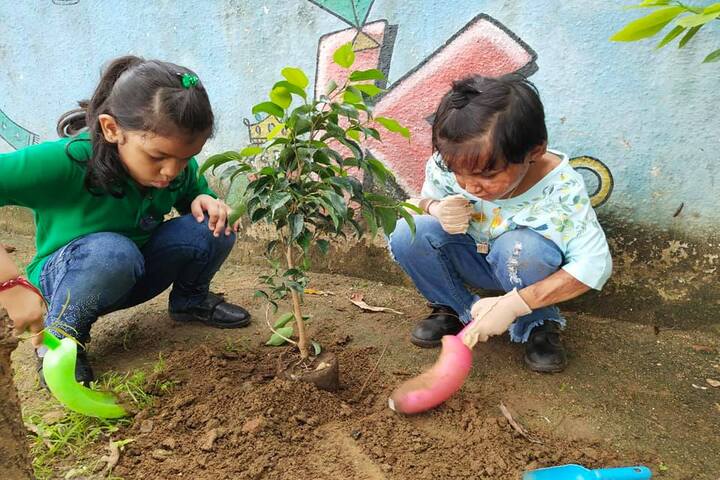 Shannen Kids School-Tree Plantation