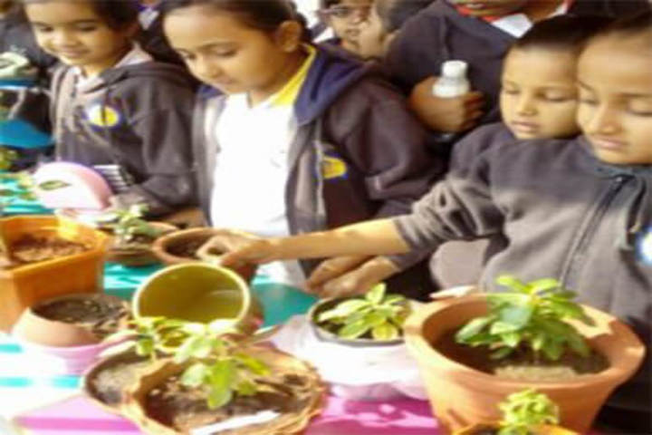 T N Rao School For Girls-Tree Planttaion