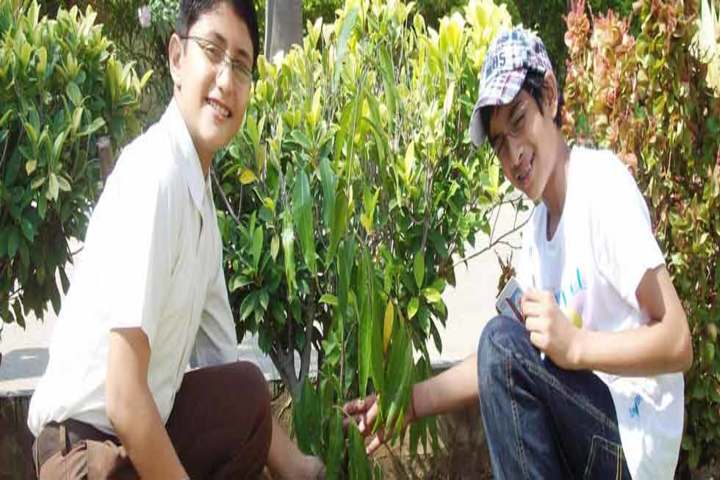 The Aditya Birla Public School-Plantation