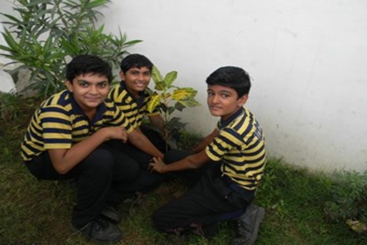 Urmi School-Plantation