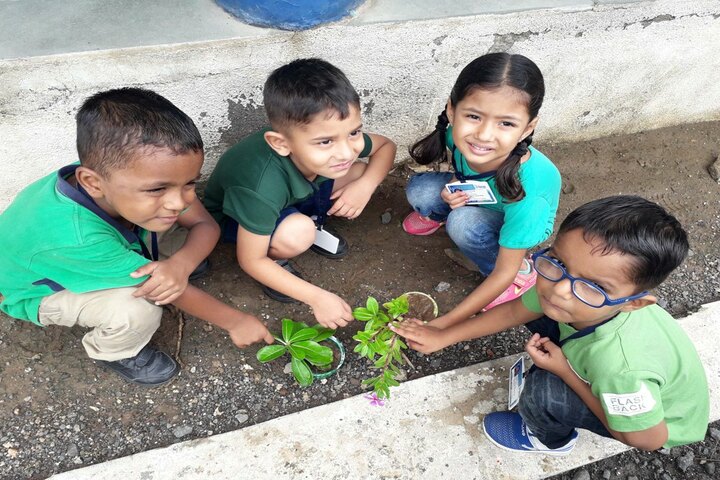 Vibrant School Of Excellence-Tree Plantation