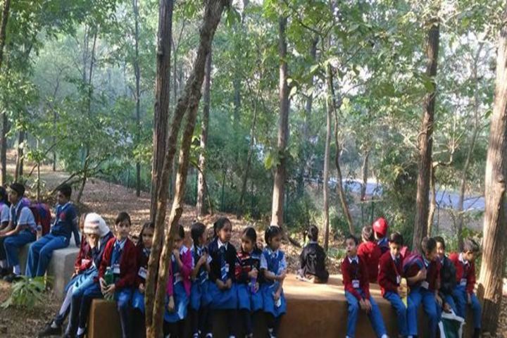 Vidya Dham International School-Field Trip