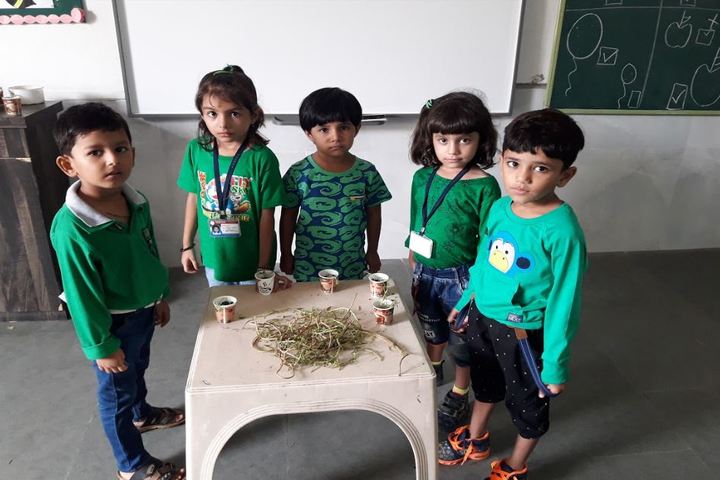 Vision International School Of Excellence-Environment Day