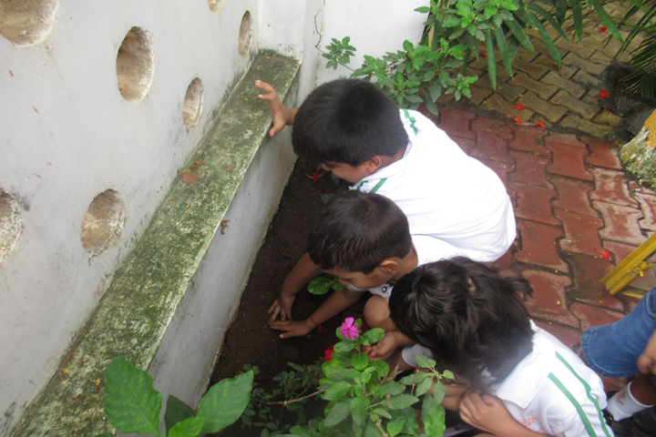 Vrajbhoomi International School-Tree Plantation