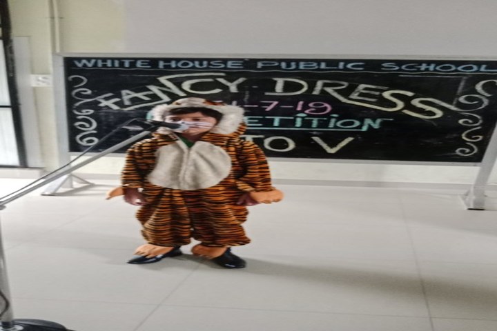White House Public School-Fancy Dress Competition