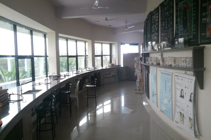Zen School-Library