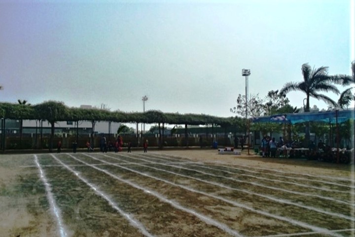 Zen School-Play Ground