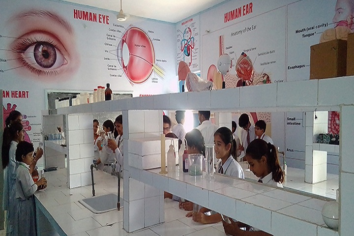 Adarsh Senior Secondary School-Composite Science Lab