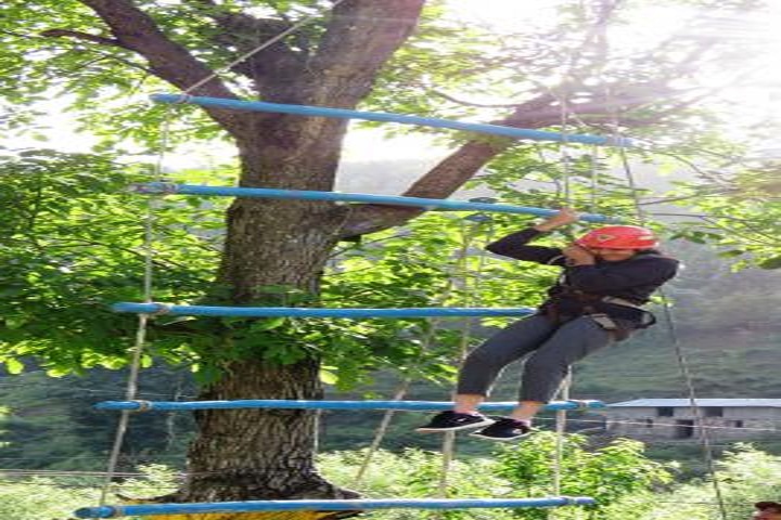 American Montessori Public School-Adventure Camp