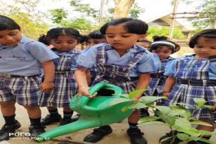American Montessori Public School-Kids Activity