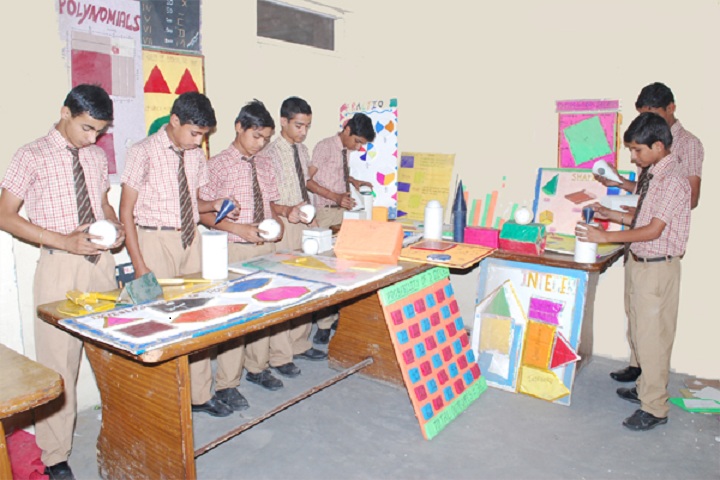 Anand Public School-Activity