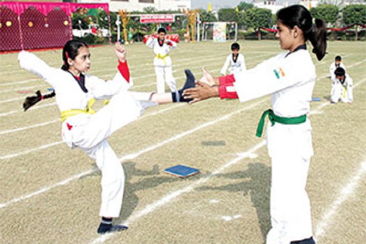 Apeejay Svran Global School-Karate