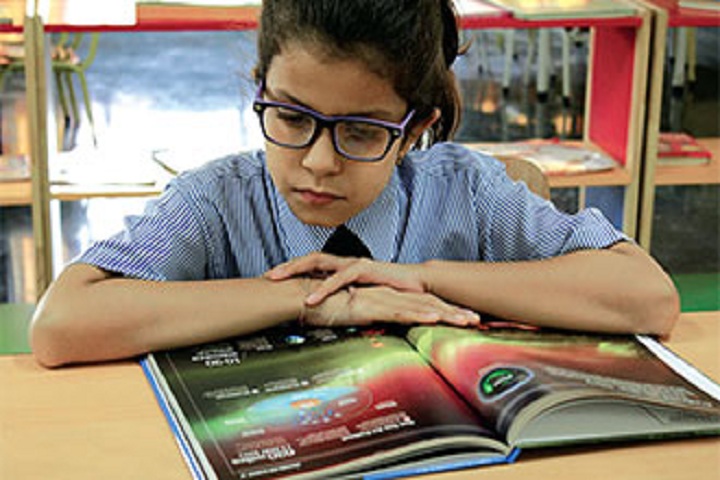 Apeejay Svran Global School-Library