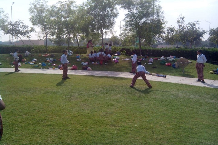 Apex Public School-Play Area