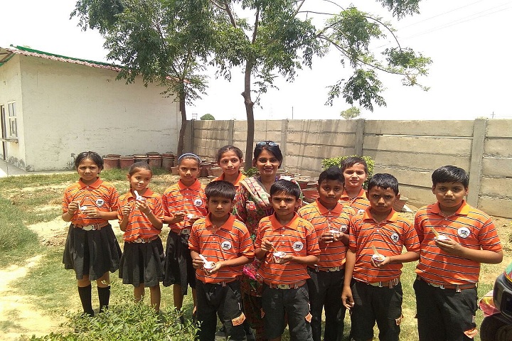 Apollo International School-Activity