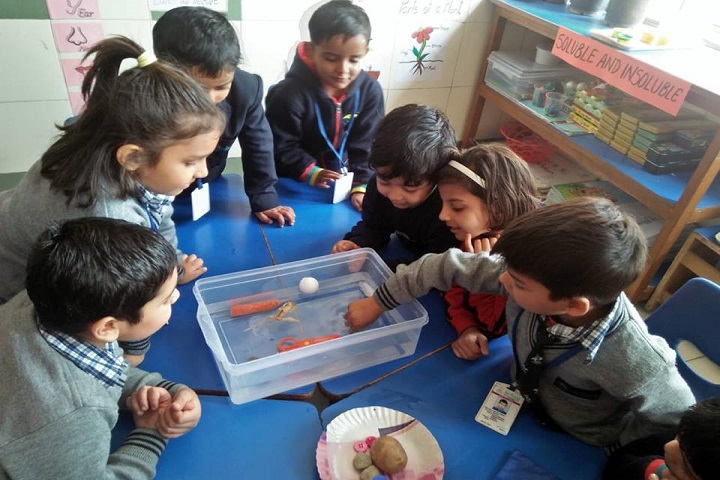 Bal Bharati Public School-Activity