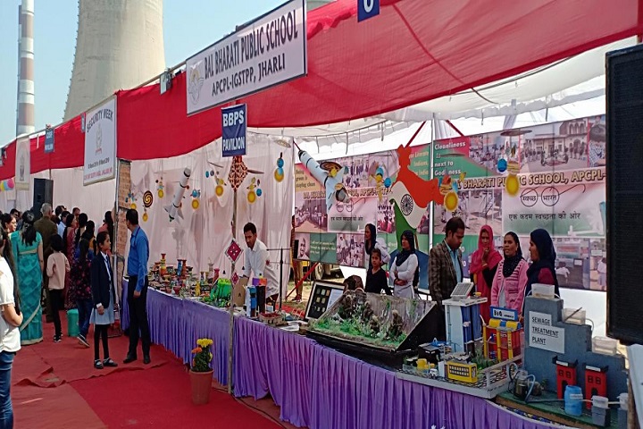 Bal Bharati Public School-Exhibition