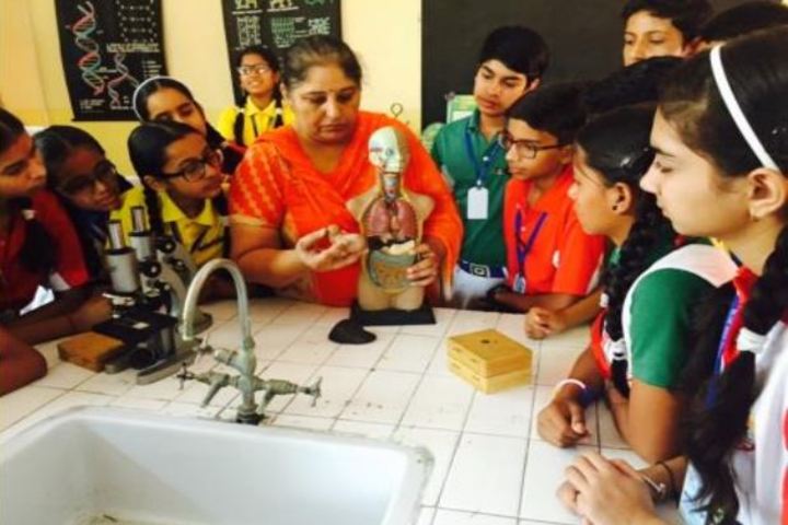 Blue Bird High School-Biology Lab