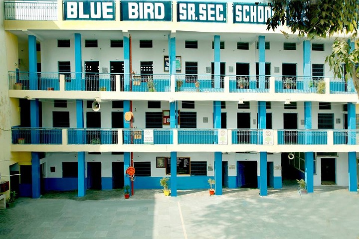 Blue Bird Senior Secondary School- campus