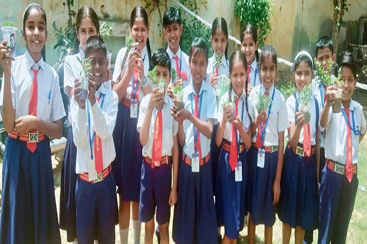 Blue Bird Senior Secondary School-event2