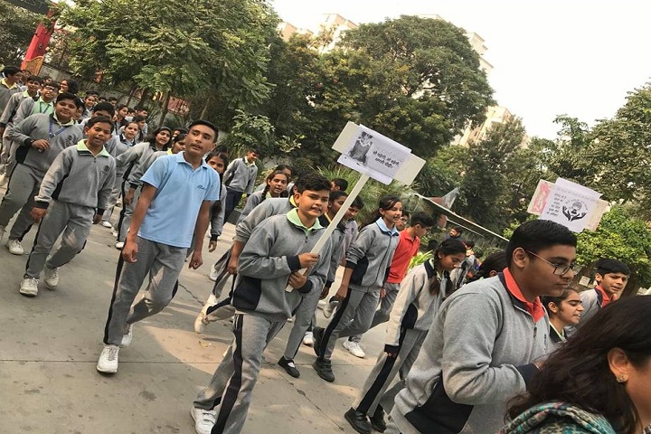 Bright Scholar Senior Secondary School-Rally