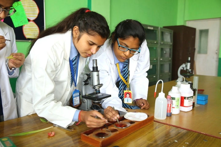 C D Foundation Of Education-Biology Lab