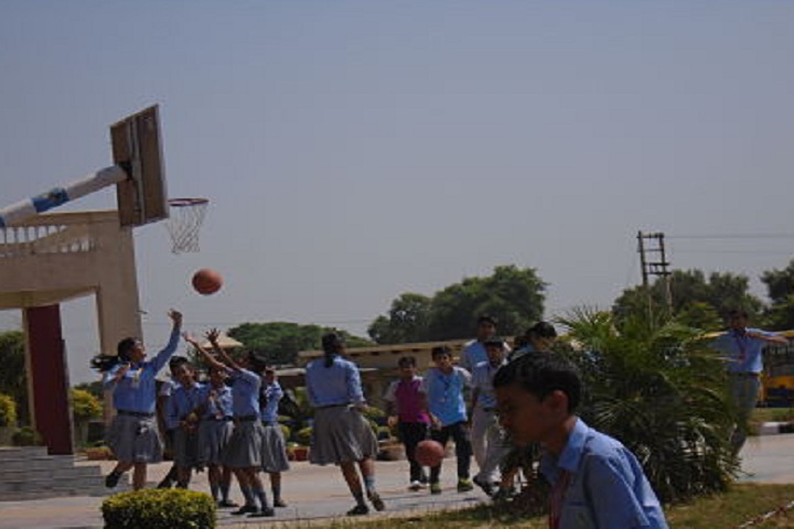 C D Foundation Of Education-Sports basketball