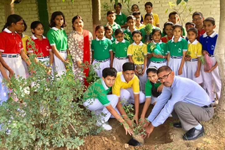 Canal Valley Public School-Plantation