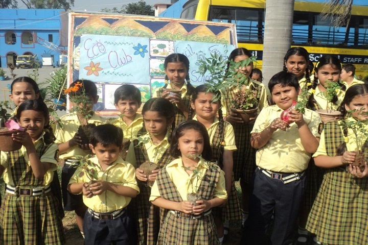 Cecil Convent School-Eco-Club-Activity