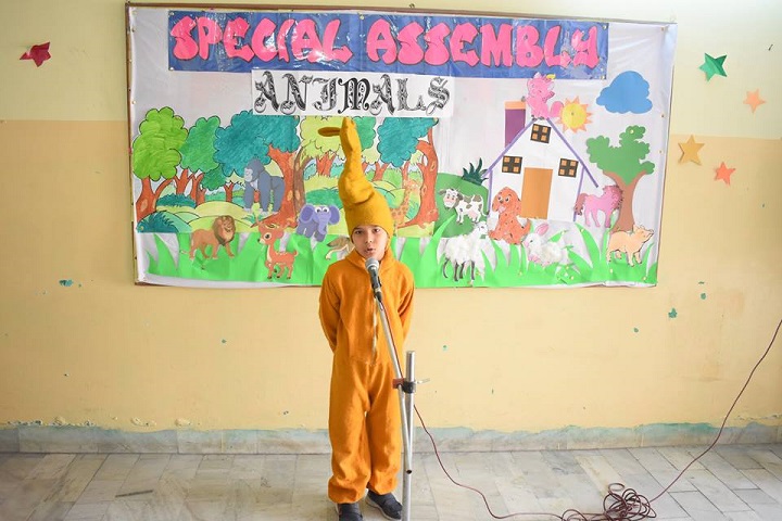 Cecil Convent School-Fancy-Dress-competition