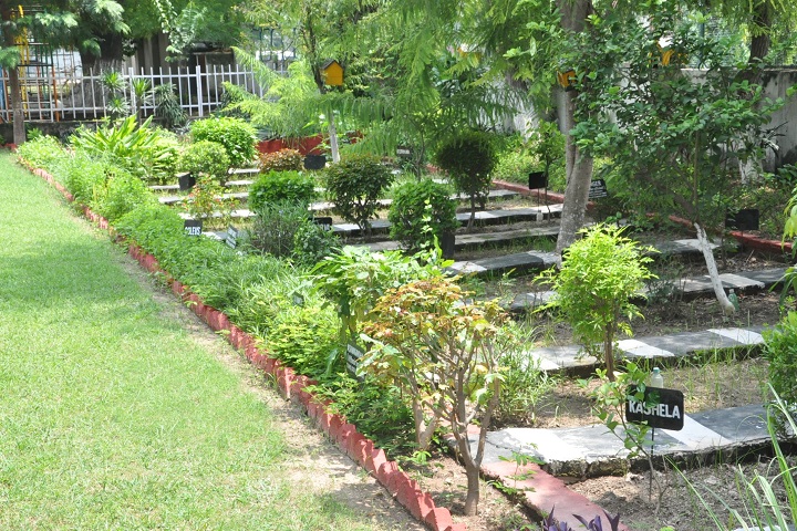Chamanlal D A V Senior Public School-Herbal
