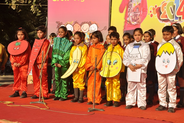 Chamanlal DAV Senior Public School-Activity
