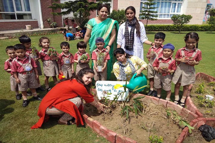Cygnus High World School-Plantation