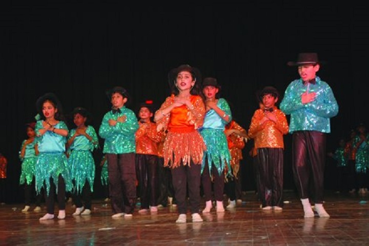D A V Public School-Annual-Day