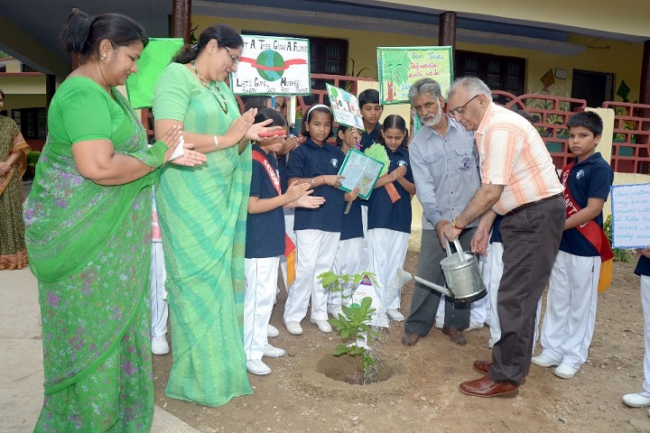 D A V Public School-Plantation