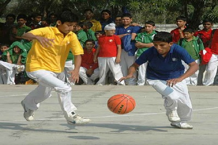 D A V Public School-Sports