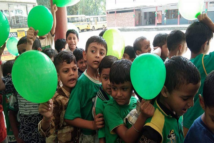 D A V Centenary Public School-Green day