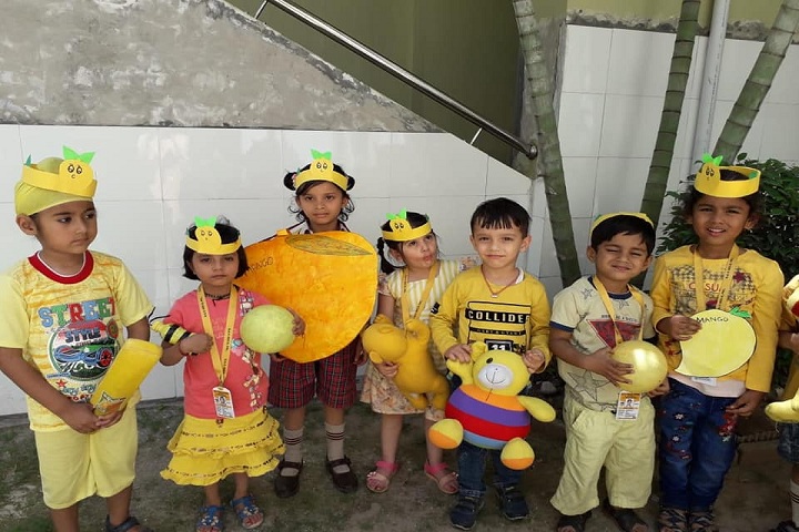 D A V English Medium Model Senior Secondary School-Yellow Day