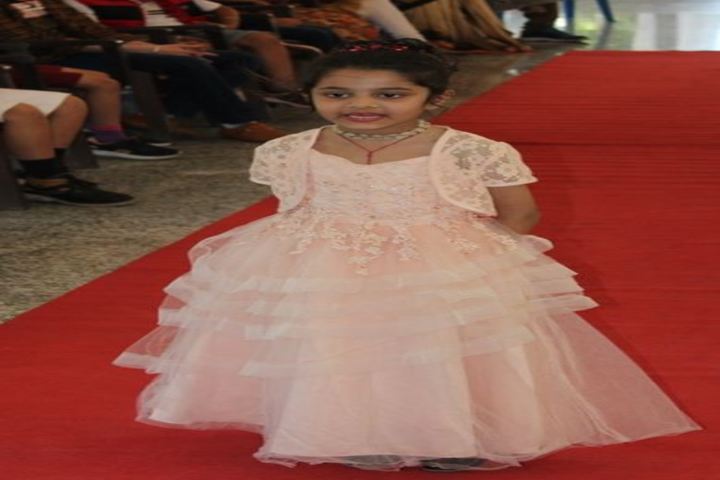 D A V English Medium Model Senior Secondary School-Fancy Dress Competition