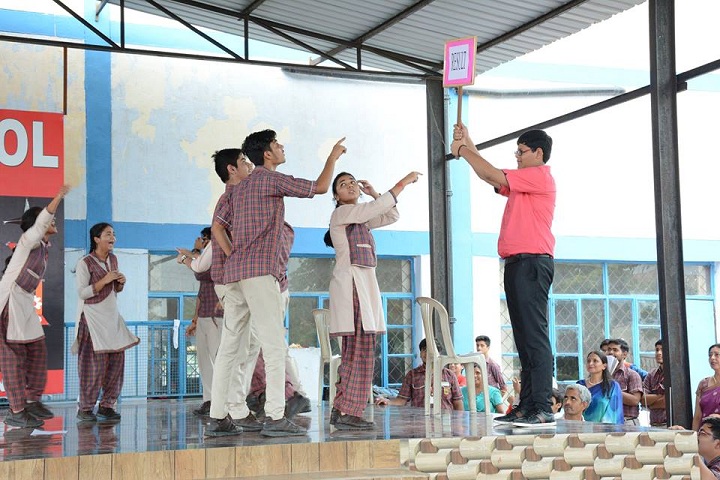 D A V Public School-Activity
