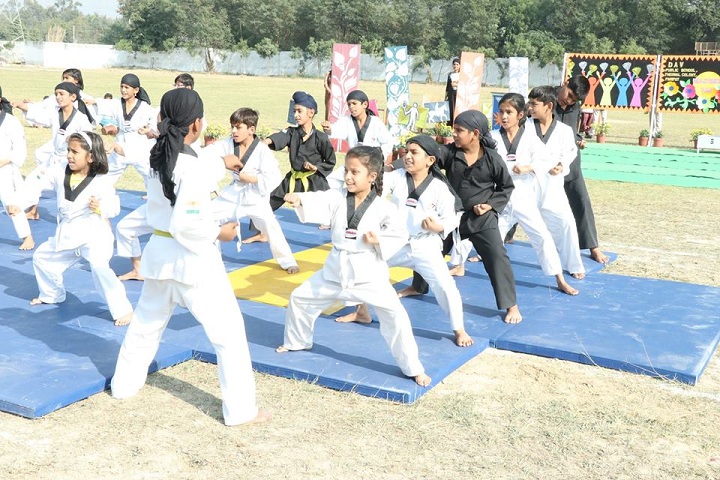 D A V Public School-Karate